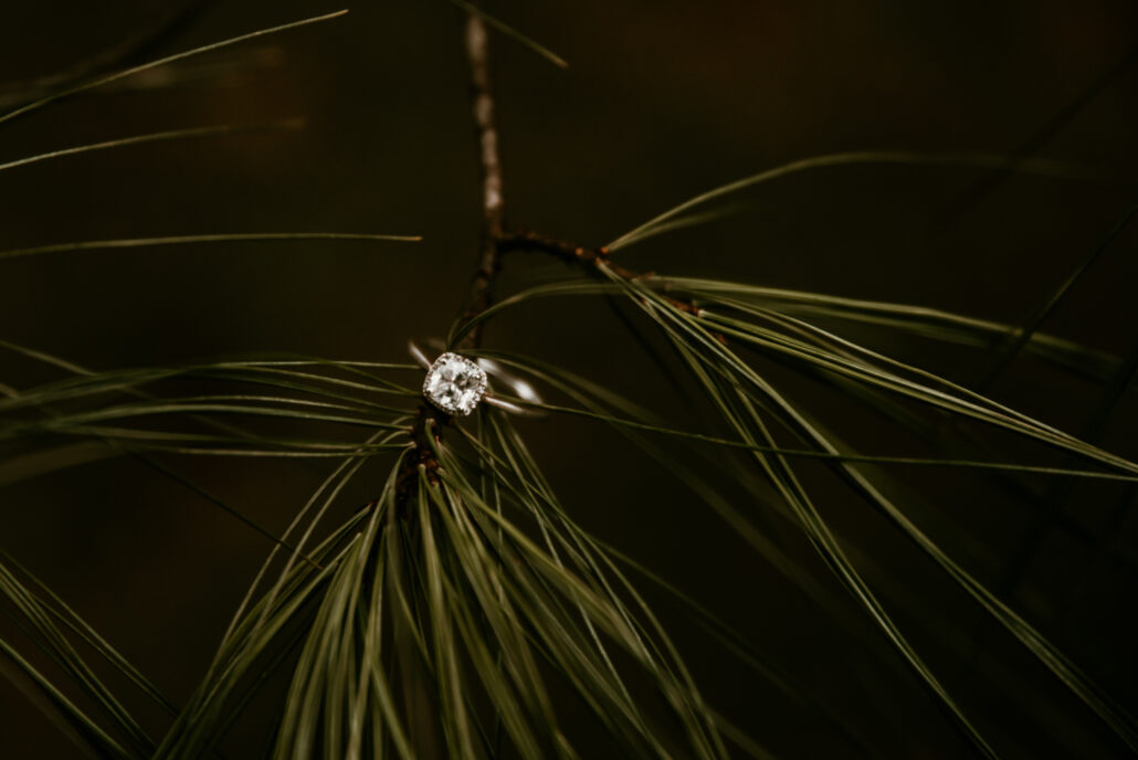 engagement photo ideas